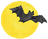 halloween bat